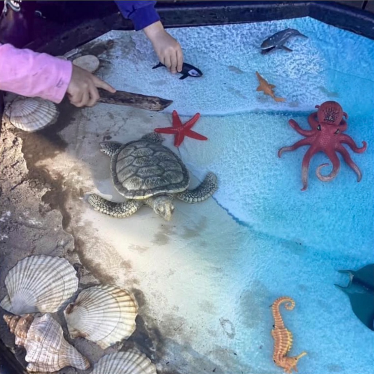 Beach Sensory Tray Insert – Bring the Coast to Your Play Space