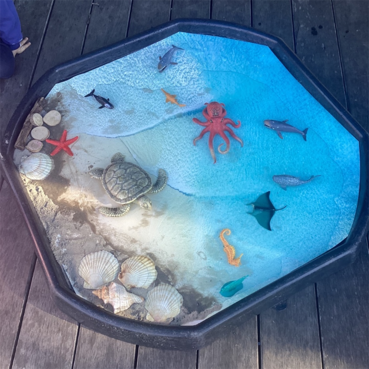 Beach Sensory Tray Insert – Bring the Coast to Your Play Space