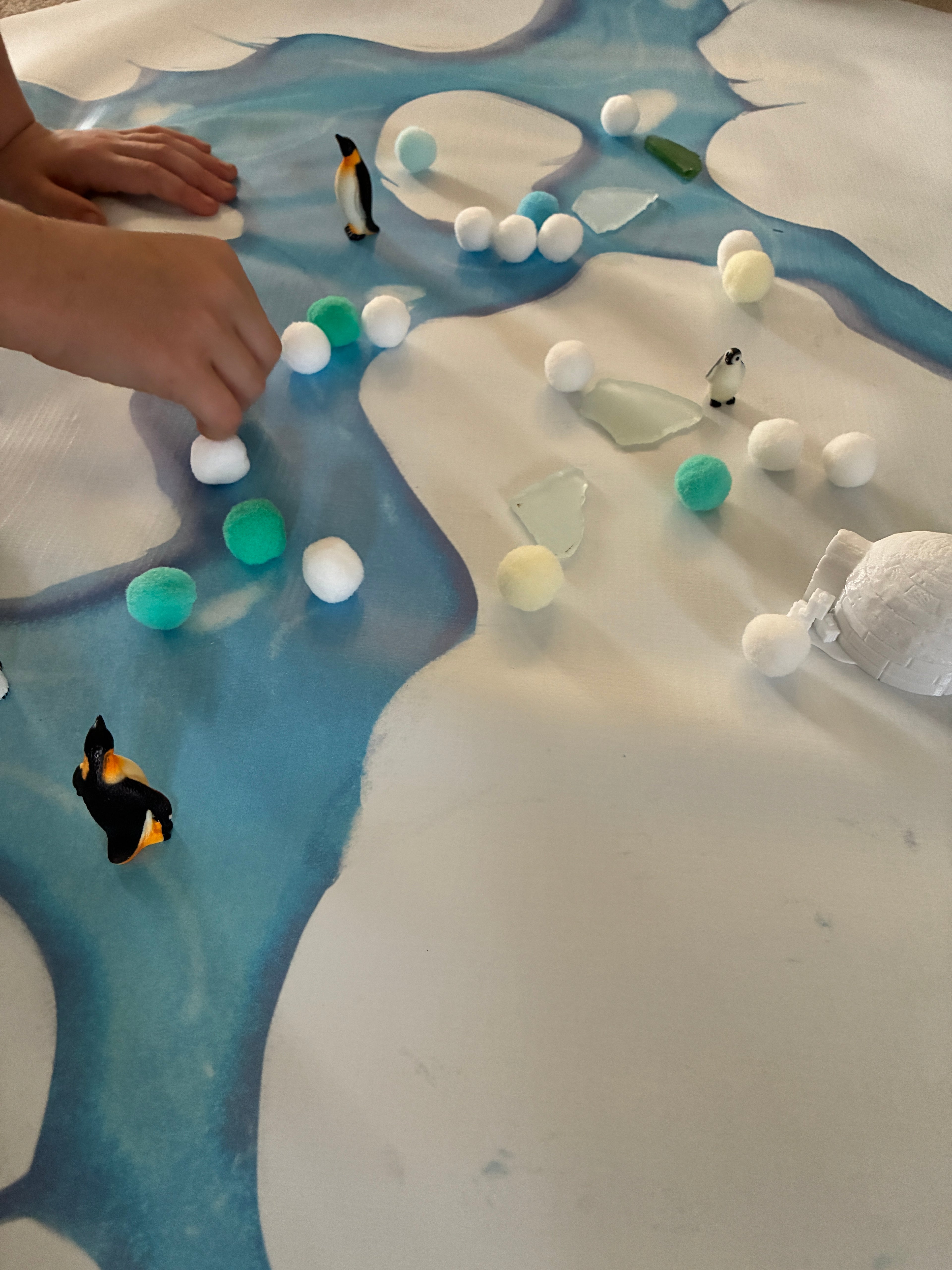 Arctic theme Sensory Tray insert